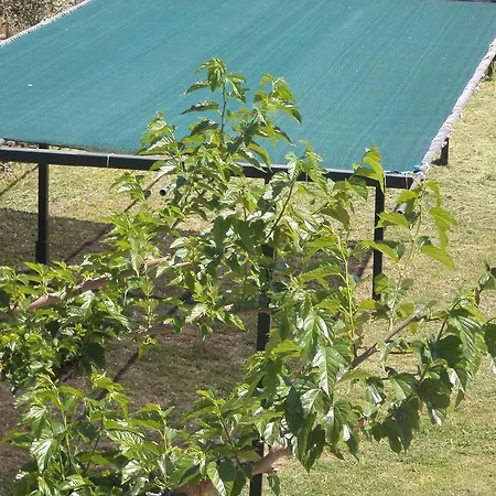 Mangata Seaside Appartamento